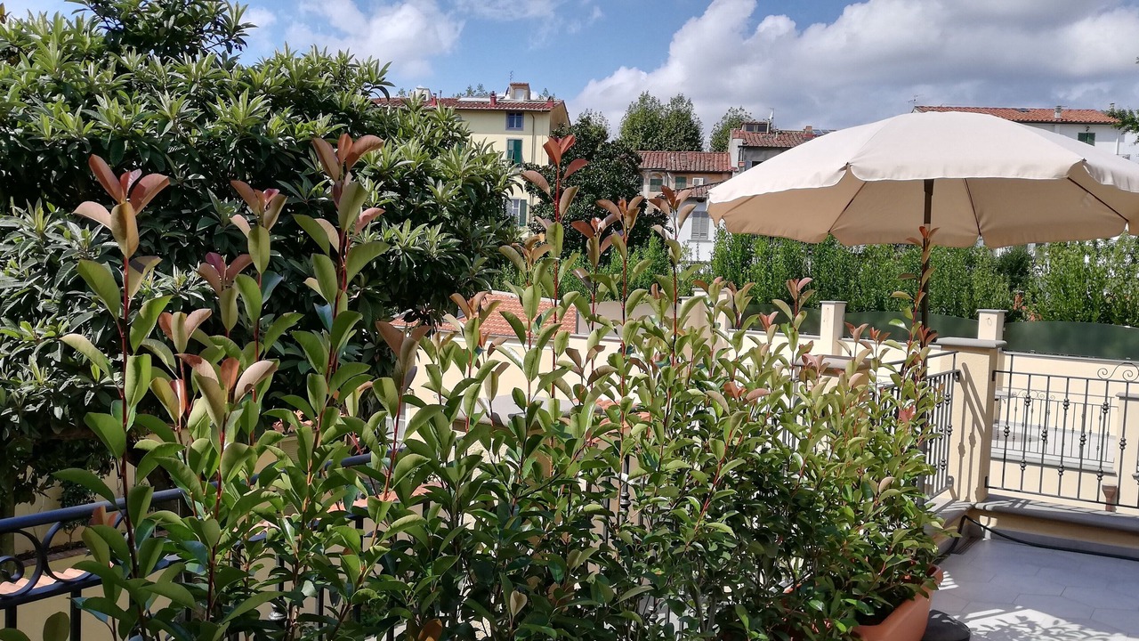 Photo of Outdoor in Pisa City Centre