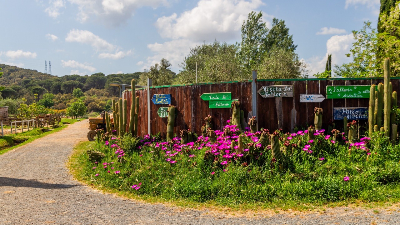 Photo of Outdoor in Montorsaio