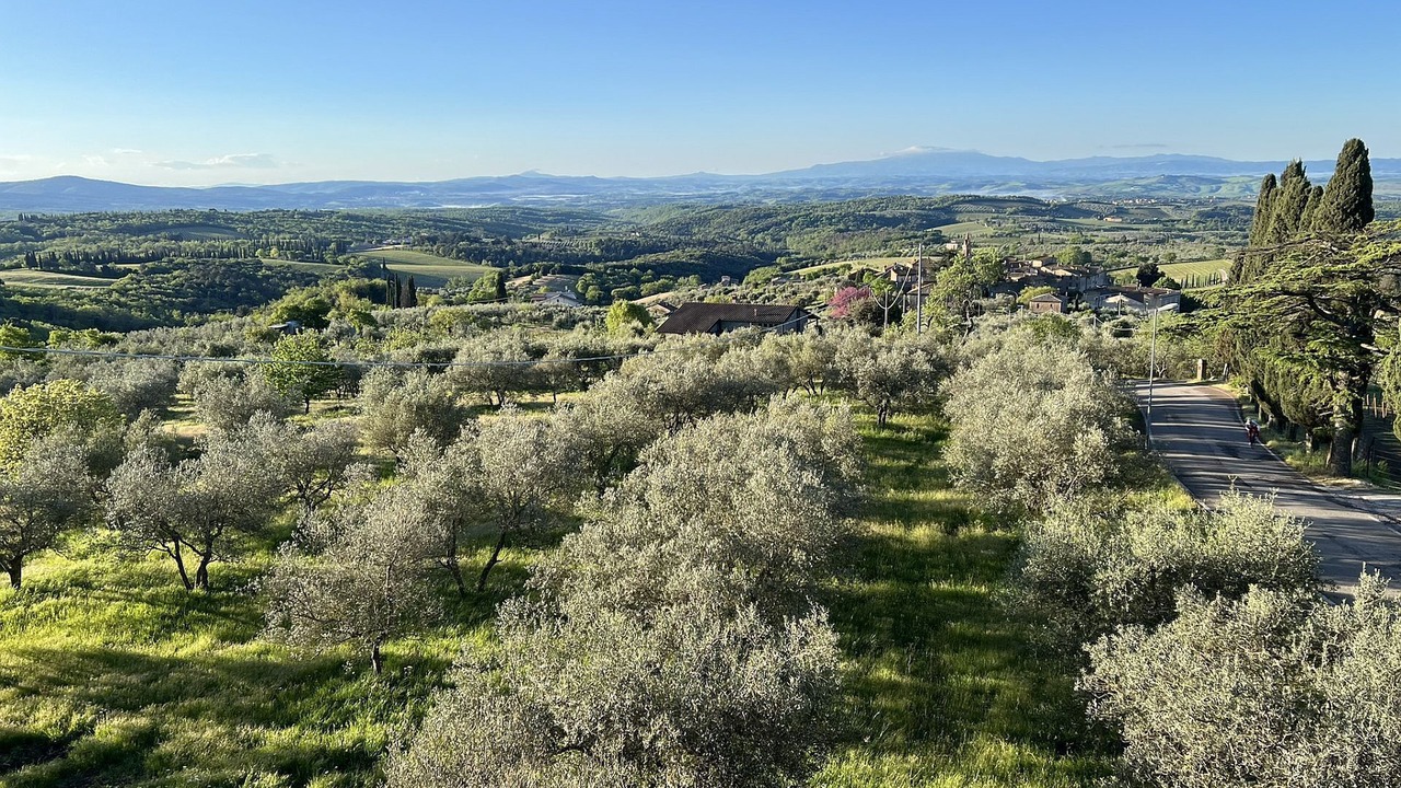 Photo of Others in Castelnuovo Berardenga