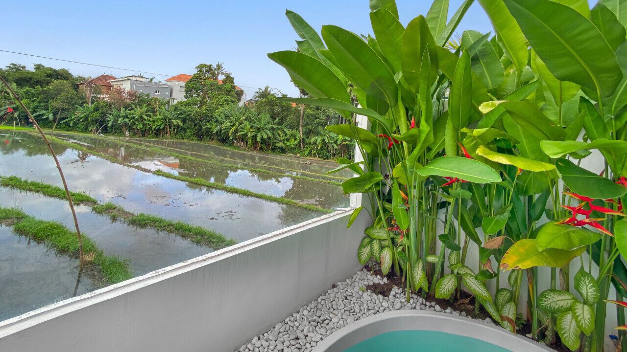 Photo of Outdoor in Babakan