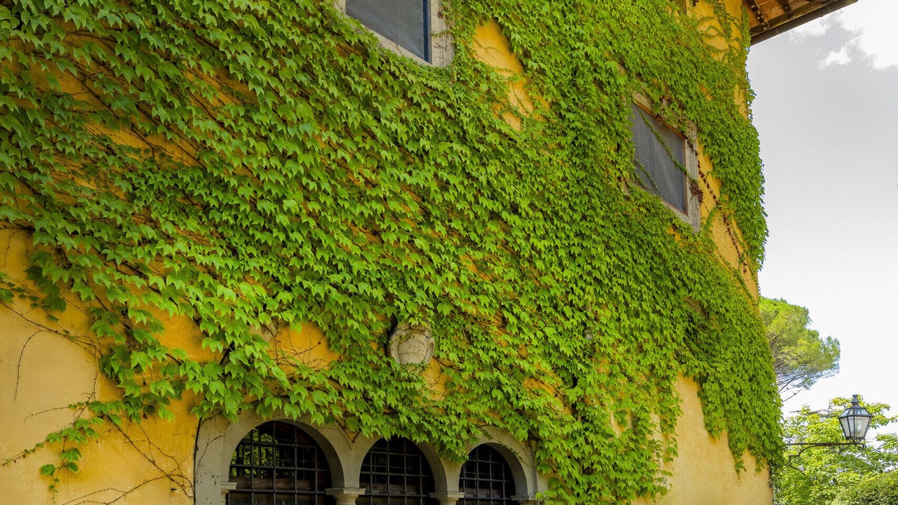 Photo of Outdoor in Florence
