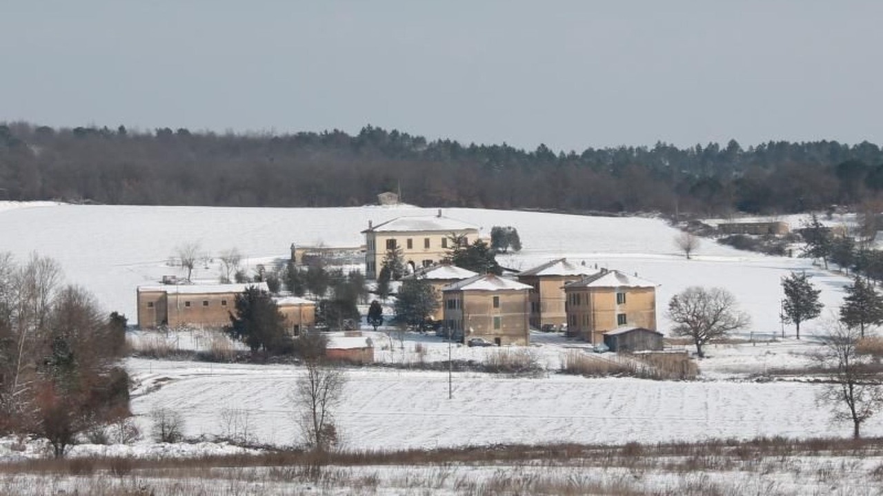 Photo of Others in Montorsaio