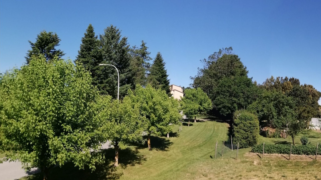 Photo of Others in Monticiano