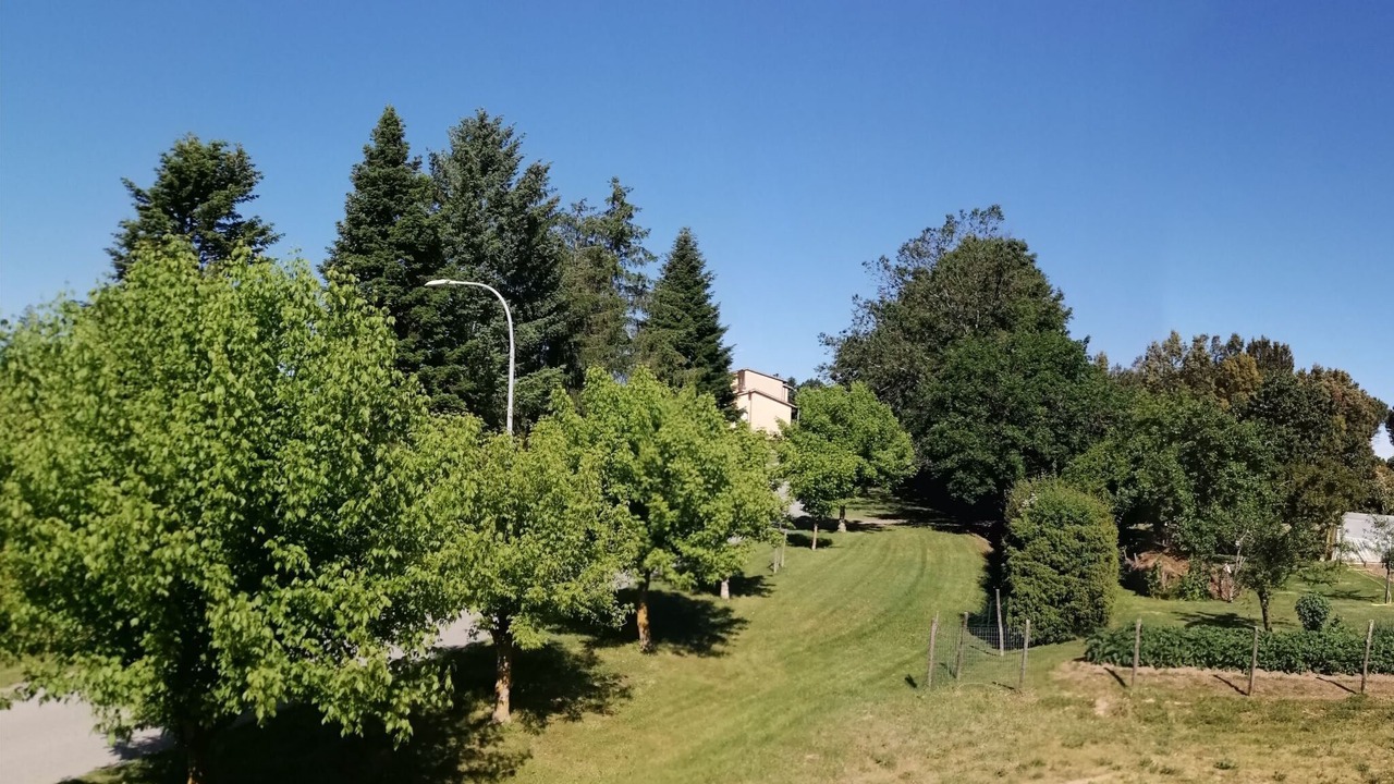 Photo of Others in Monticiano