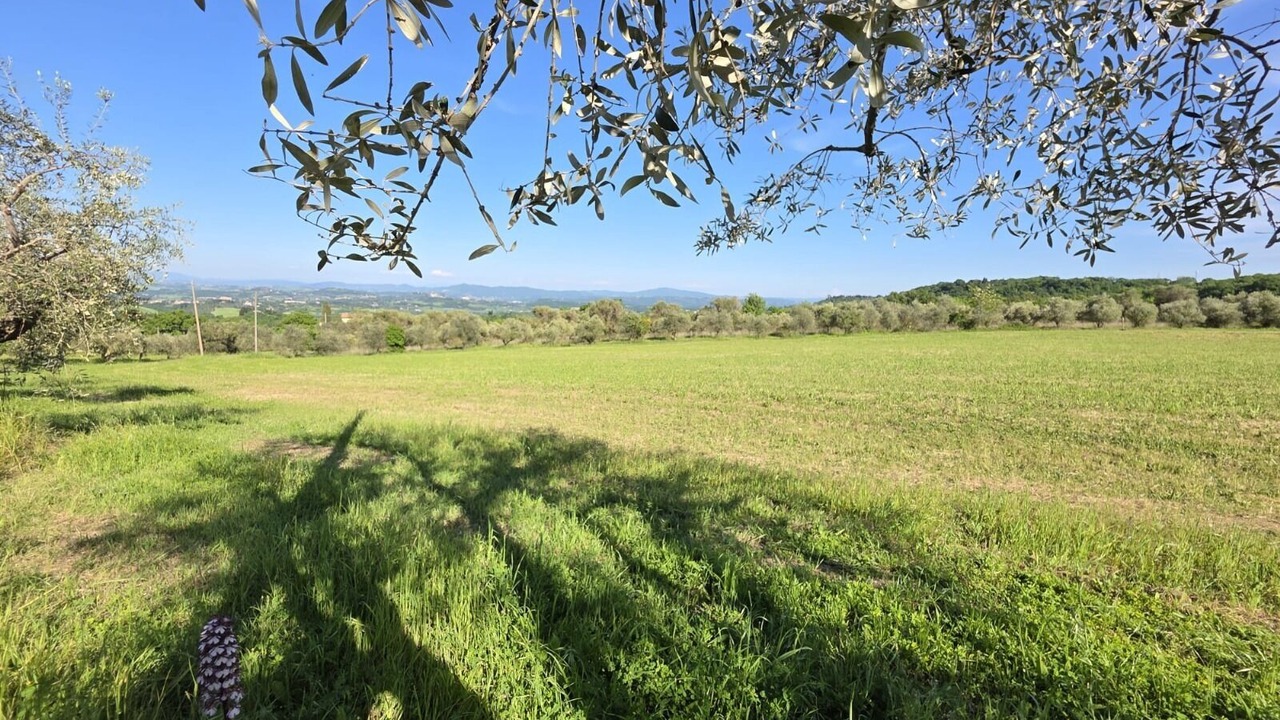 Photo of Others in Sarteano