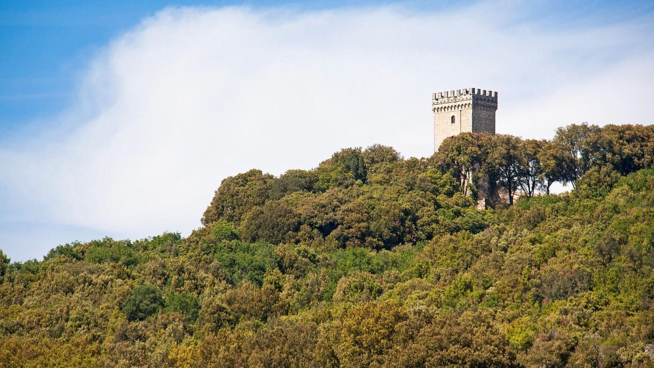 Photo of Others in Simignano
