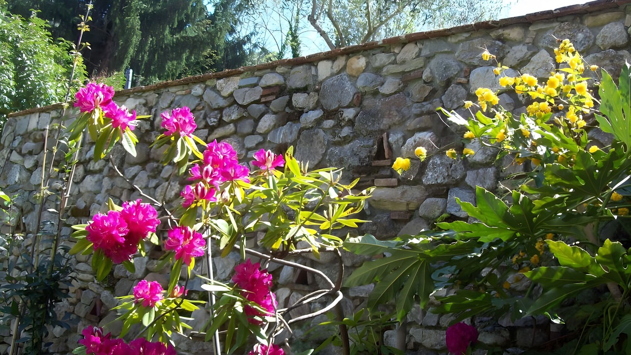 Photo of Outdoor in Nocchi