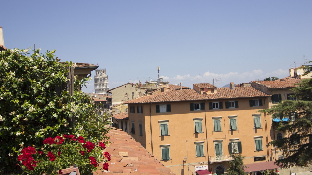 Photo of Outdoor in Pisa City Centre