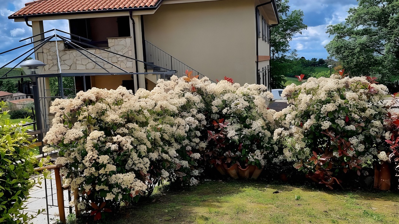 Photo of Outdoor in Catabbio