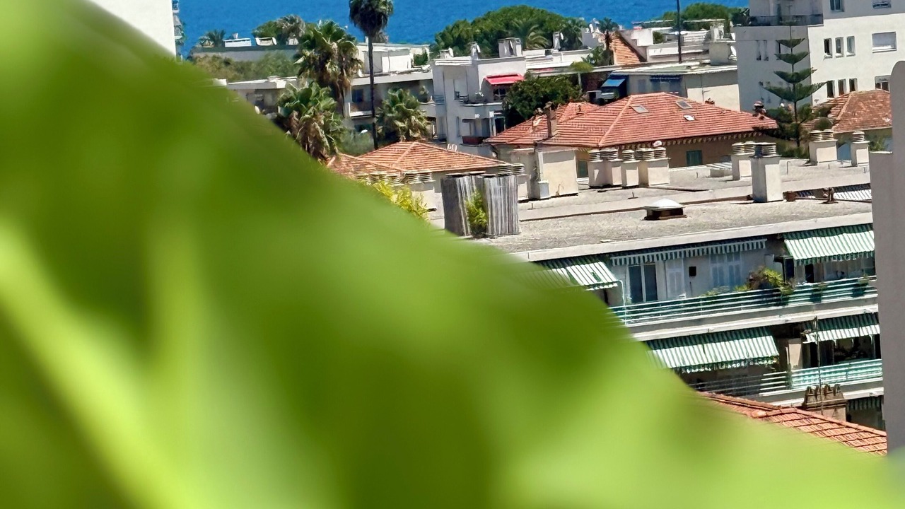 Photo of Others in La Californie
