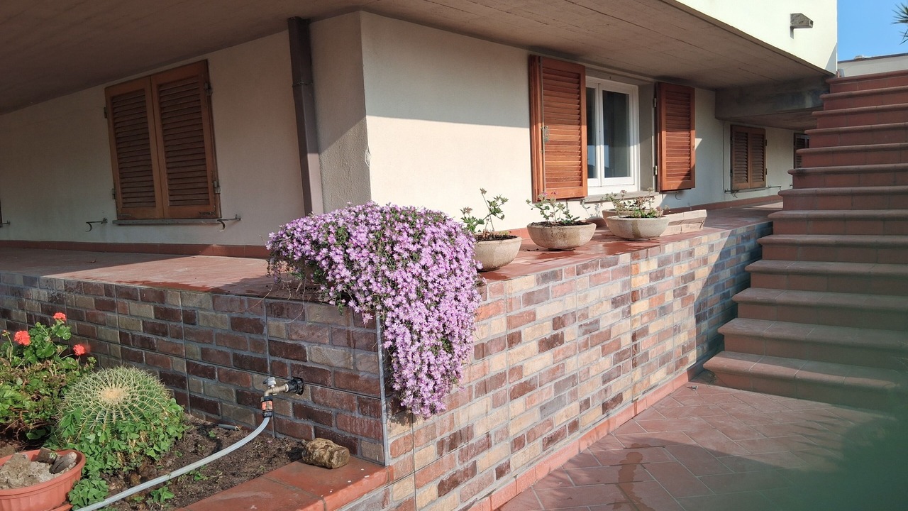 Photo of Outdoor in San Vincenzo