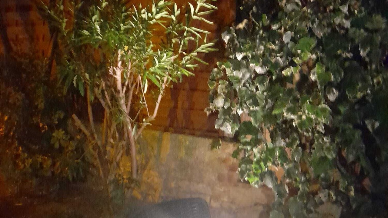 Photo of Outdoor in Cimiez