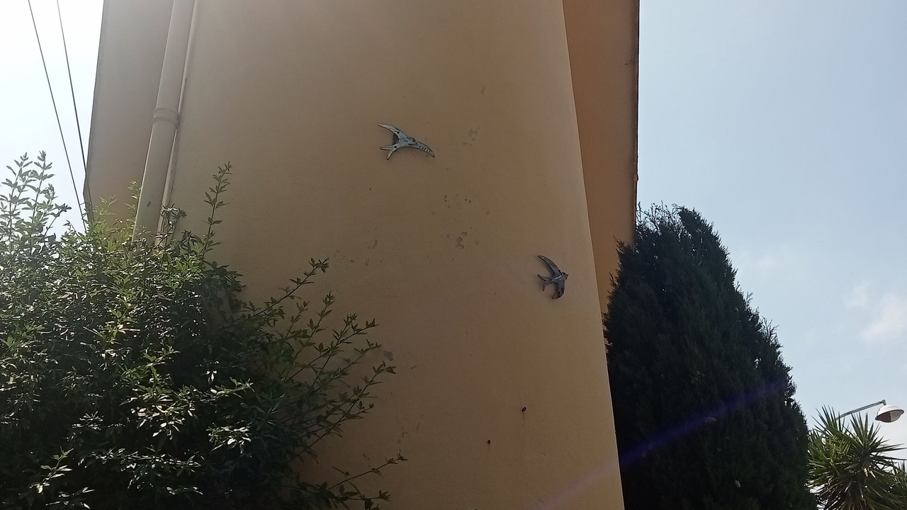 Photo of Outdoor in Cimiez