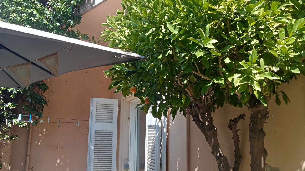 Photo of Outdoor in Cimiez