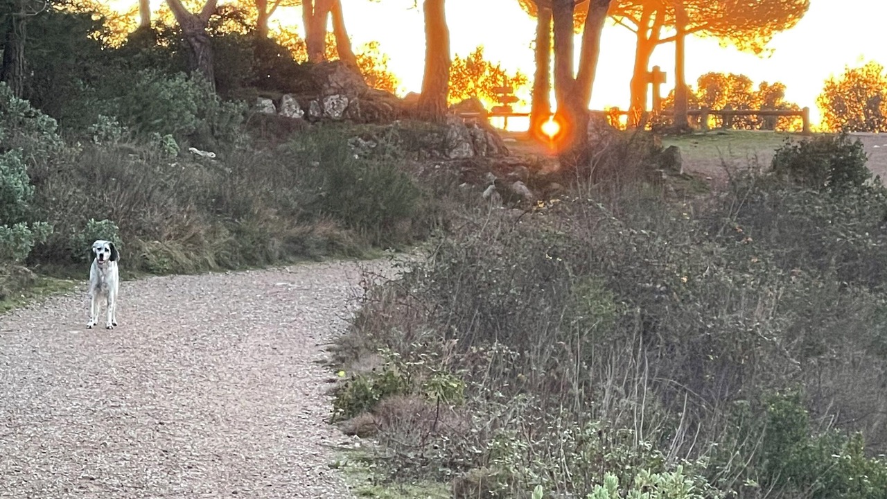 Photo of Others in Eze