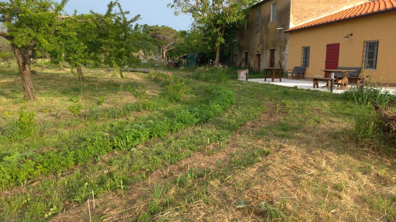 Photo of Outdoor in Donoratico