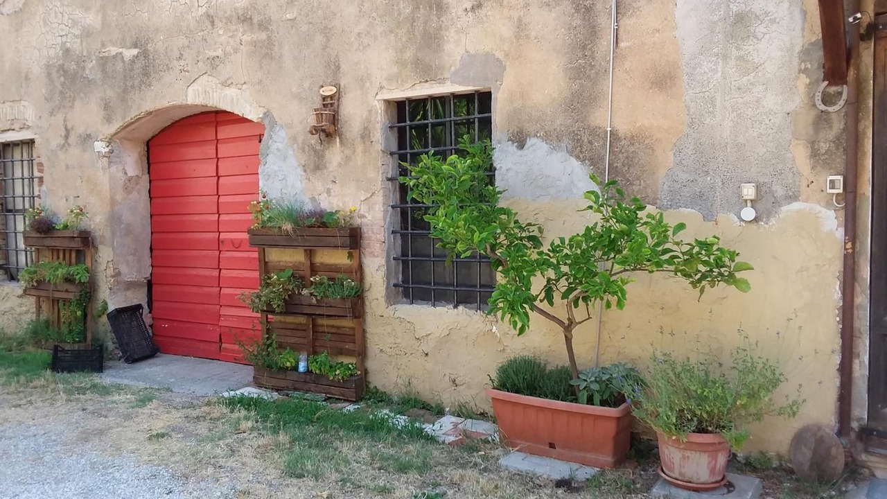 Photo of Outdoor in Donoratico