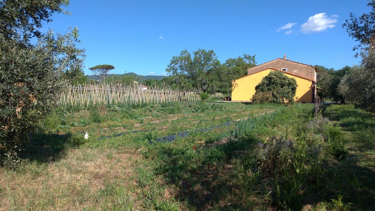 Photo of Outdoor in Donoratico