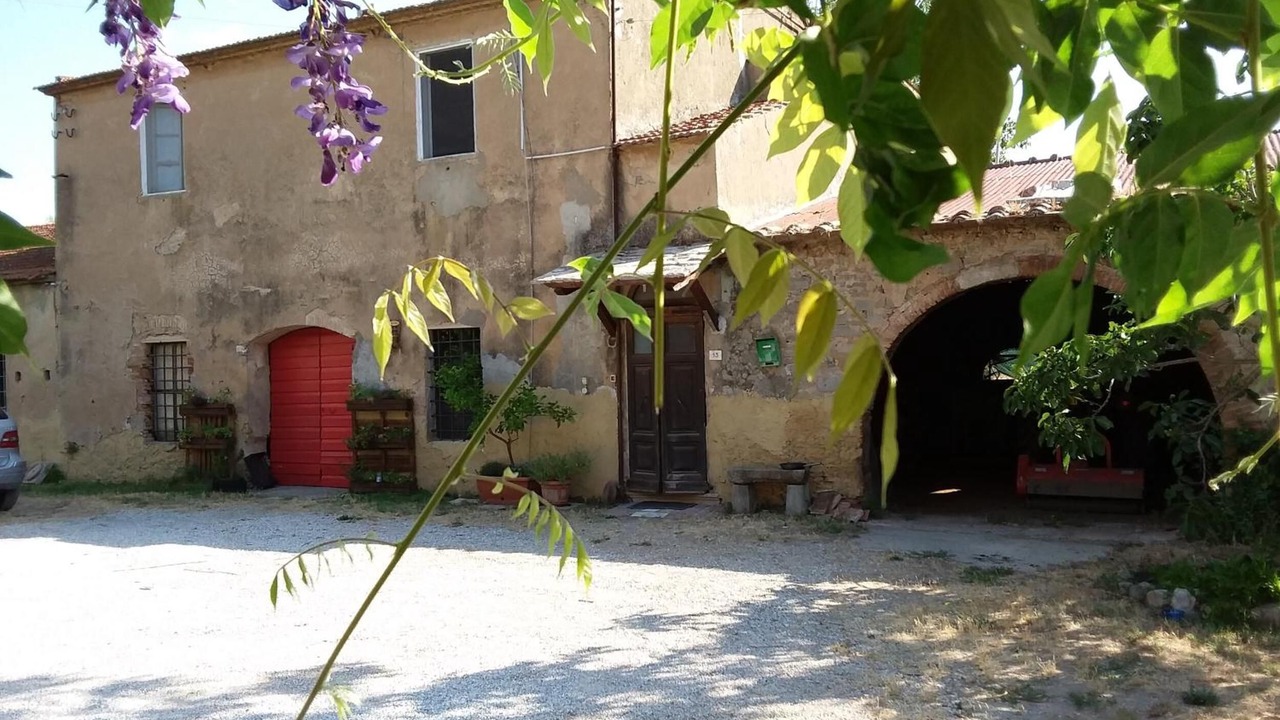 Photo of Outdoor in Donoratico