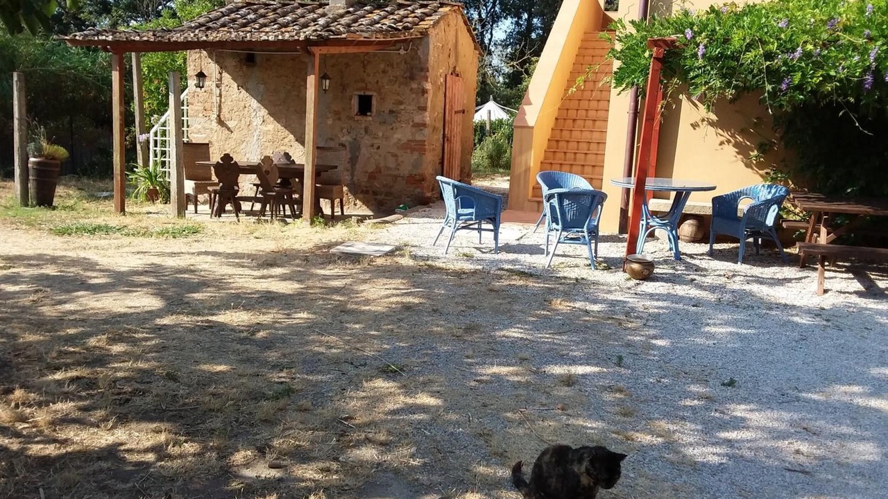 Photo of Outdoor in Donoratico