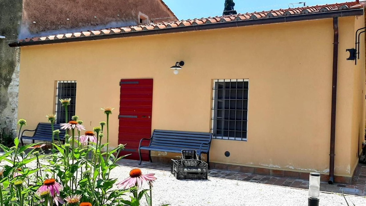 Photo of Outdoor in Donoratico