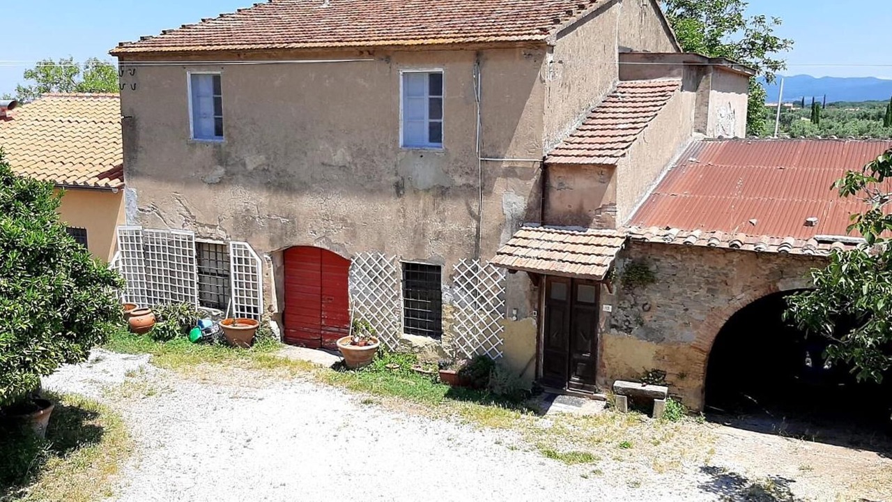 Photo of Outdoor in Donoratico