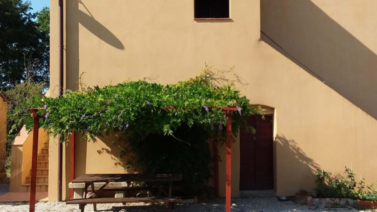 Photo of Outdoor in Donoratico