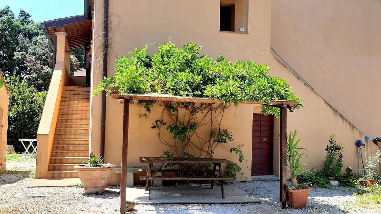 Photo of Outdoor in Donoratico
