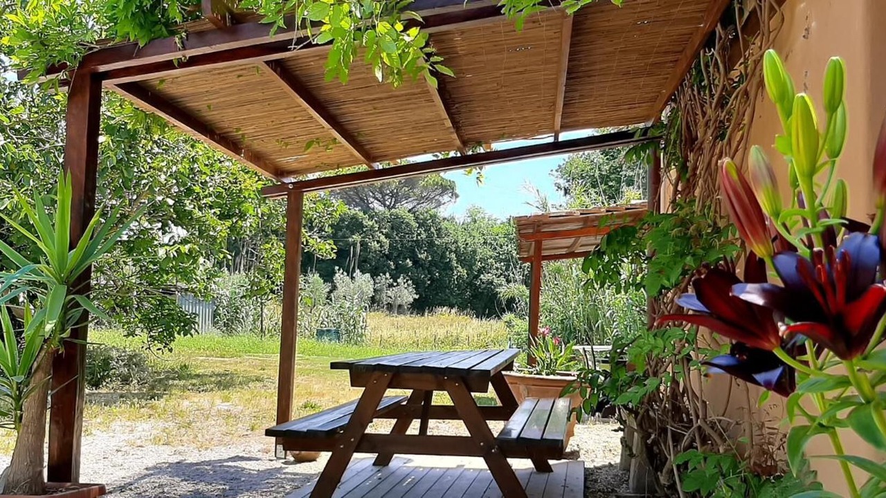 Photo of Outdoor in Donoratico