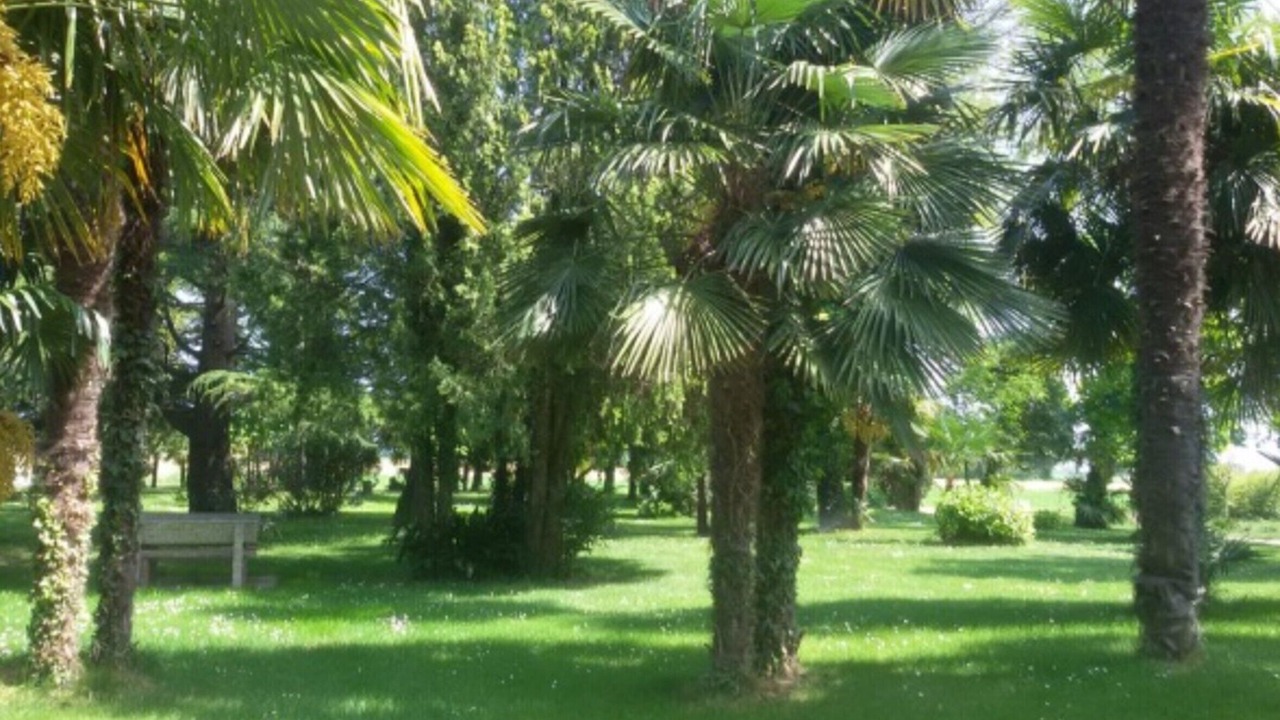 Photo of Outdoor in Palazzolo dello Stella
