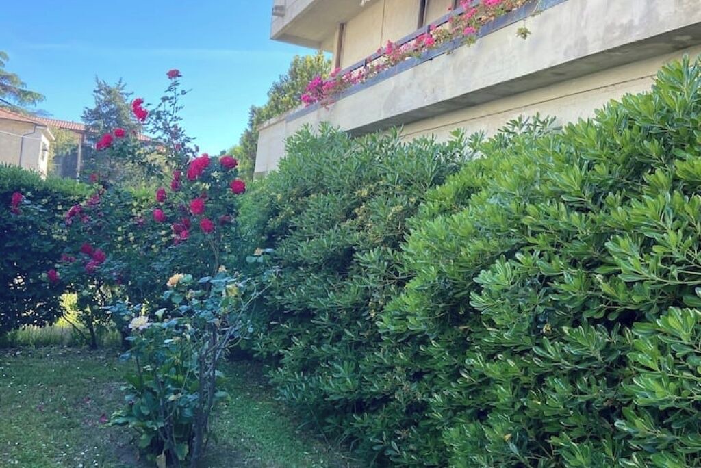 Photo of Outdoor in Pisa