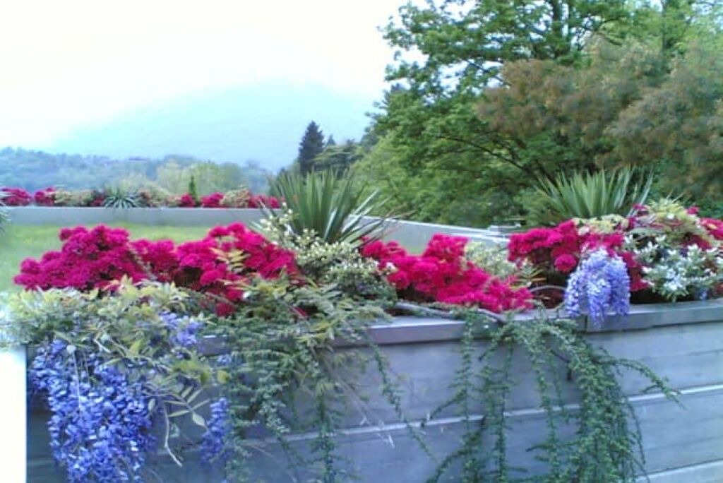 Photo of Outdoor in Mergozzo