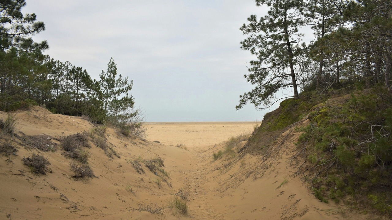 Photo of Others in Lignano Pineta
