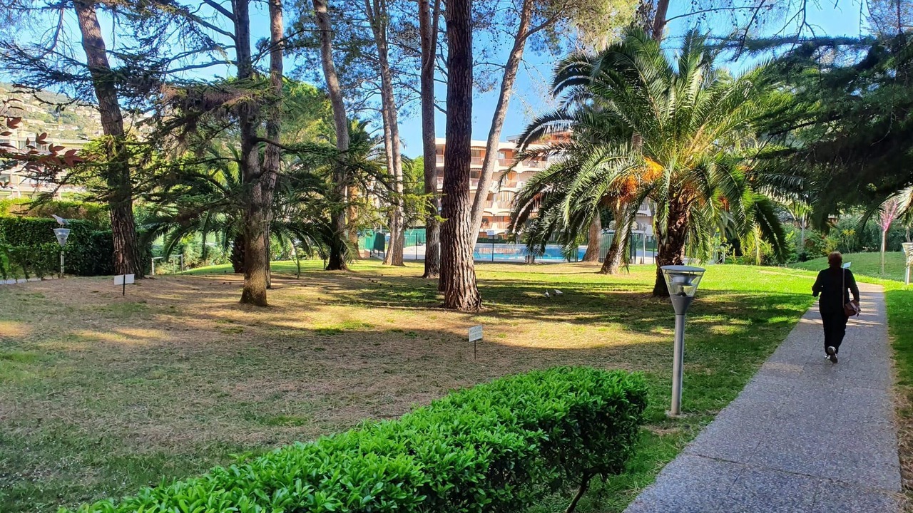 Photo of Outdoor in Mandelieu-La-Napoule