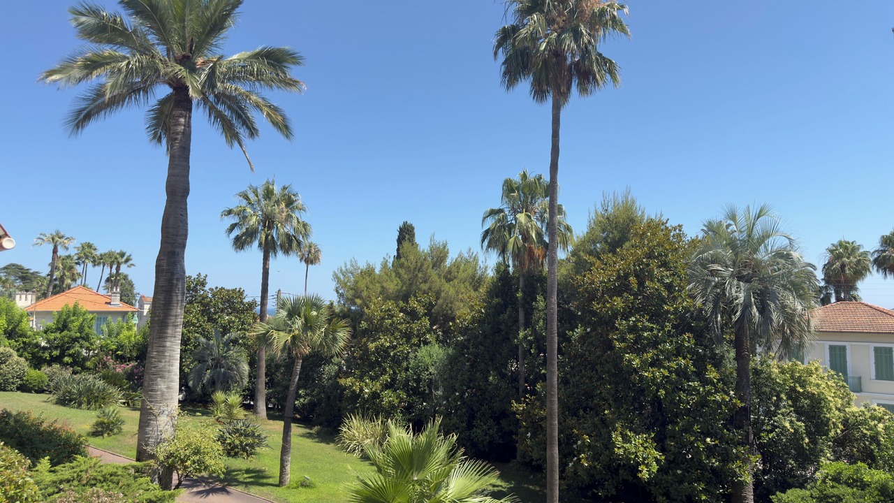 Photo of Outdoor in California - Pezou