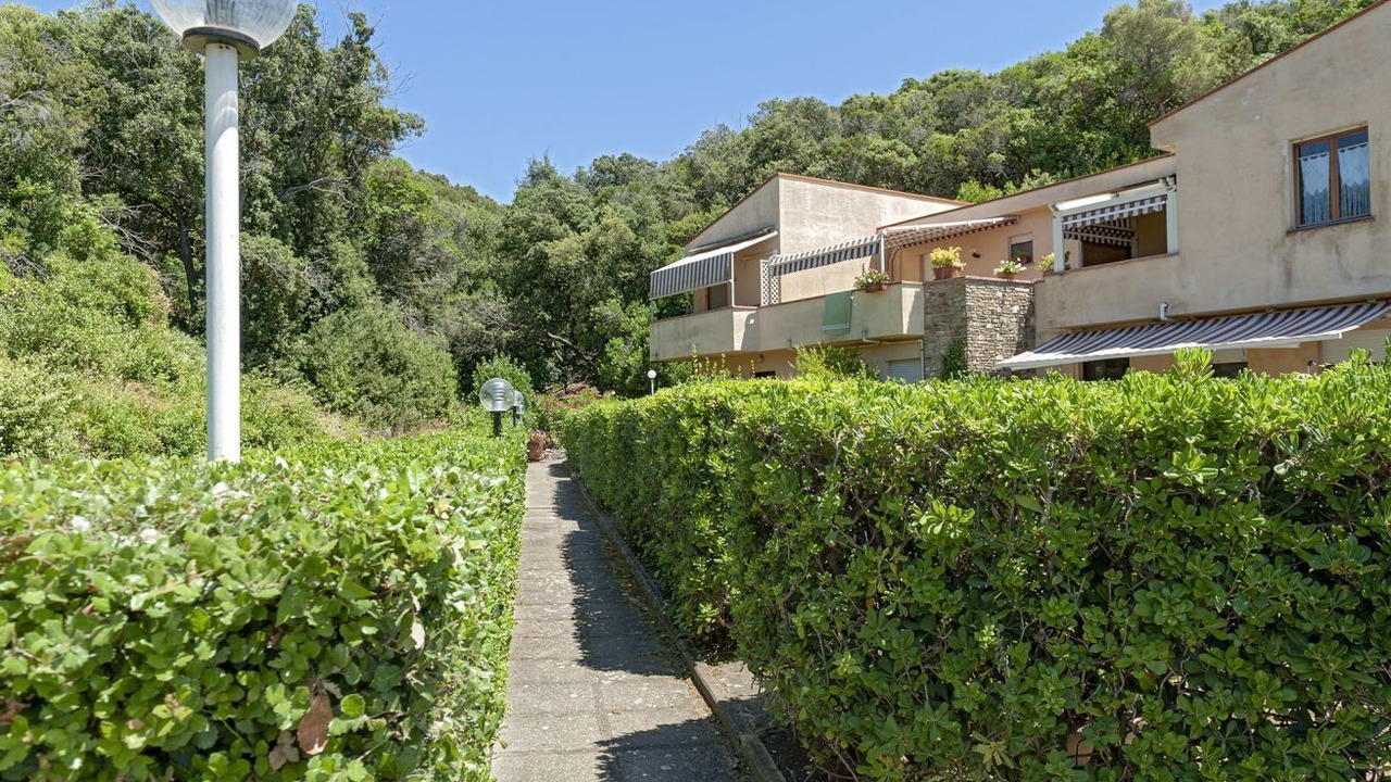 Photo of Outdoor in Rosignano Marittimo