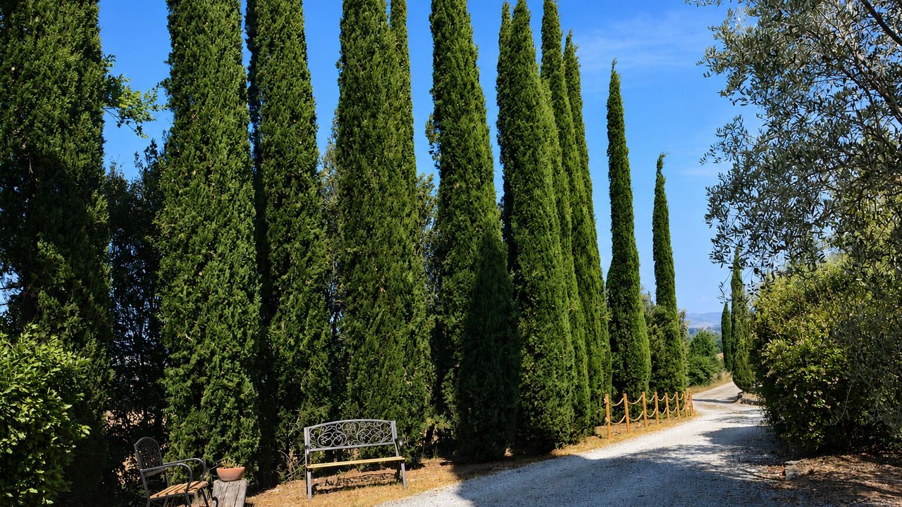 Photo of Others in Asciano