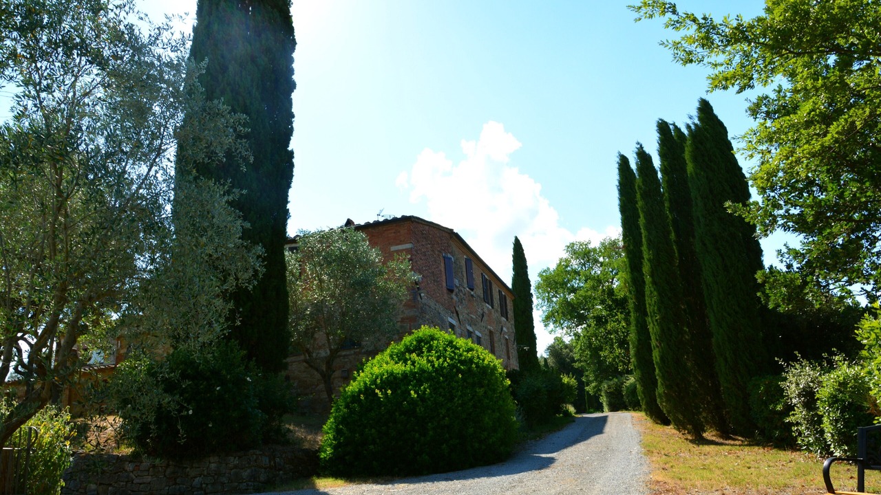Photo of Outdoor in Asciano