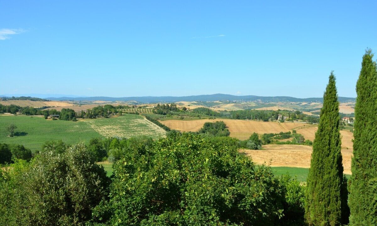 Photo of Others in Asciano