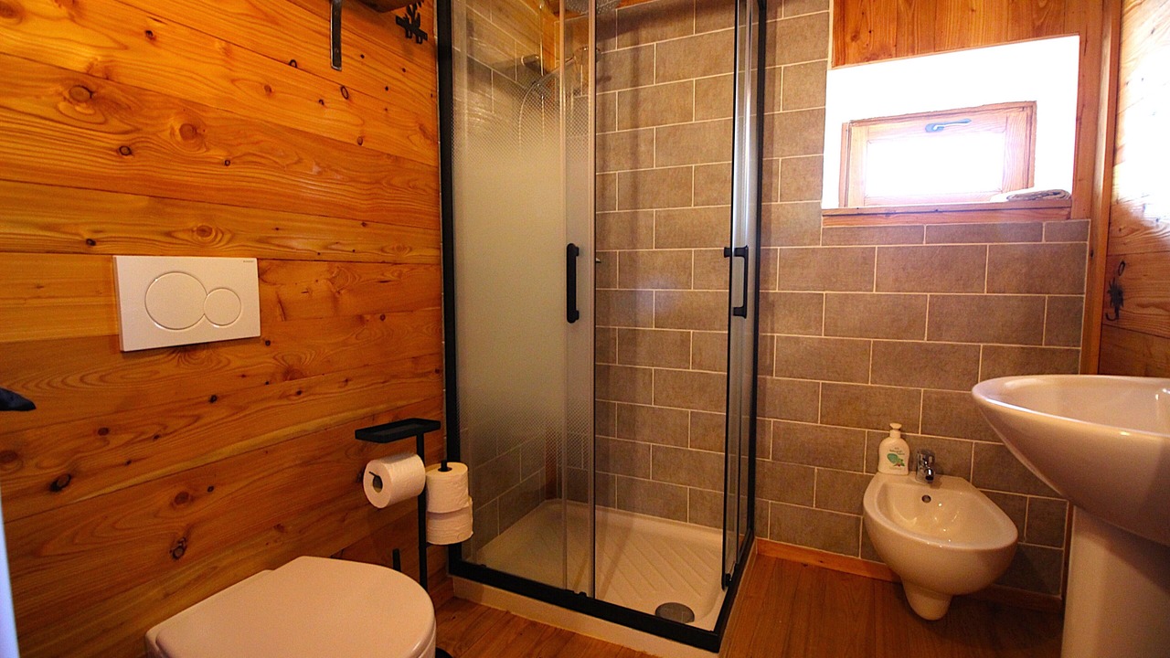 Photo of Bathroom in Ala di Stura