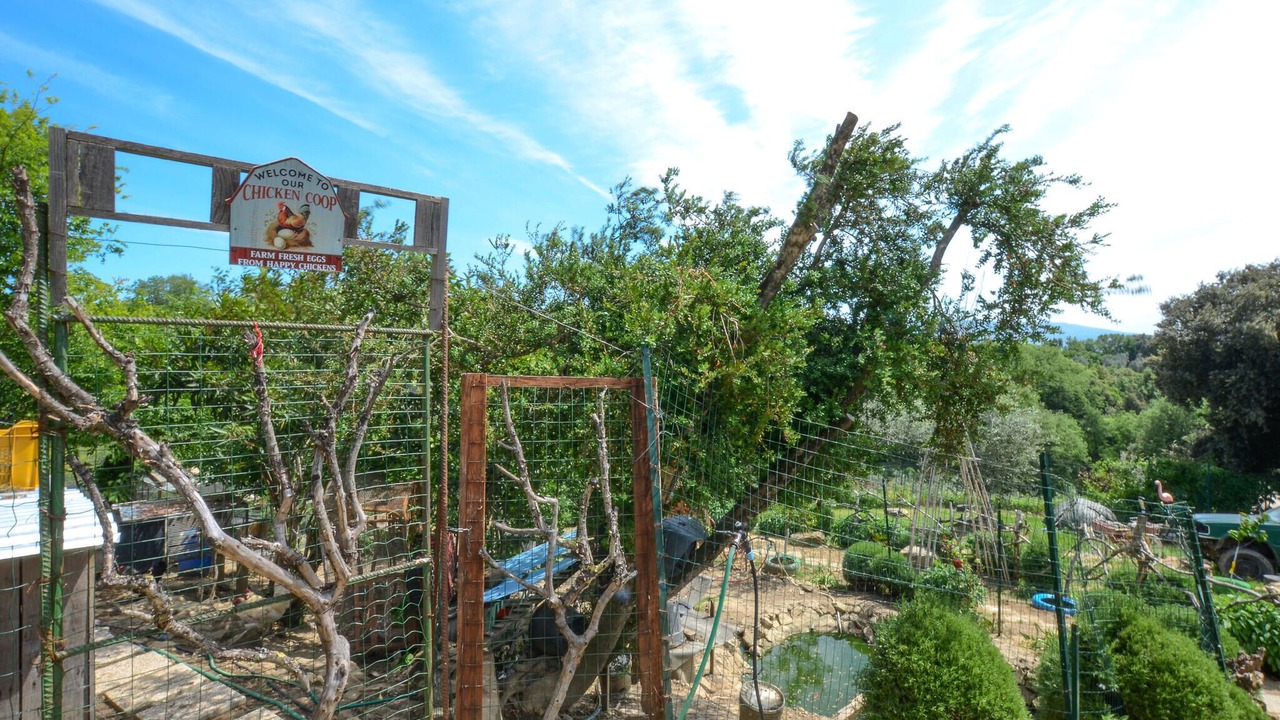 Photo of Others in Poggi del Sasso