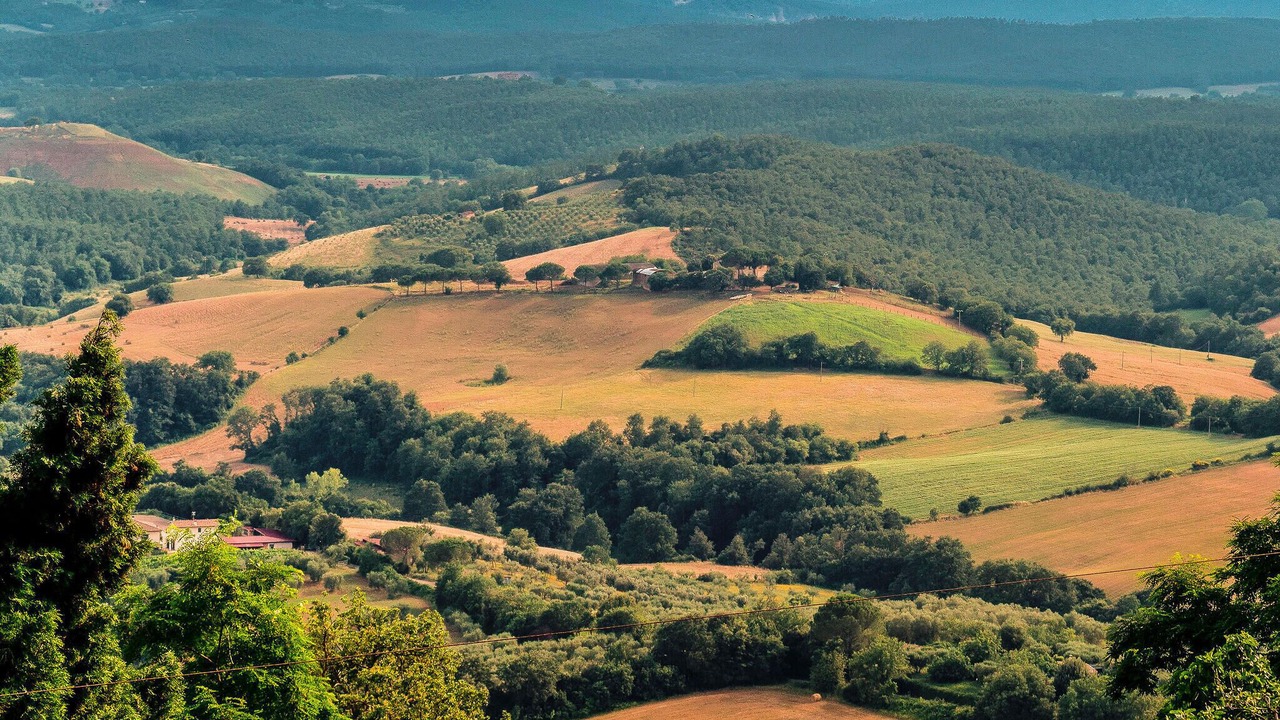 Photo of Others in Poggi del Sasso