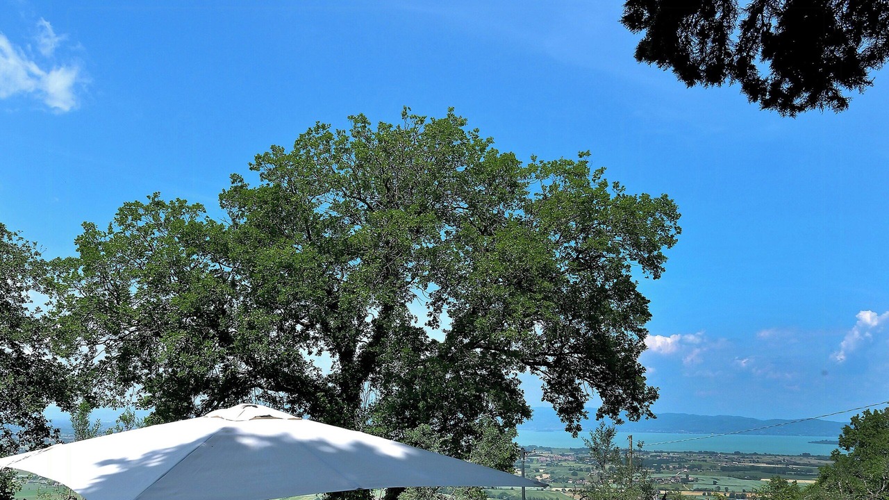Photo of Outdoor in Paciano