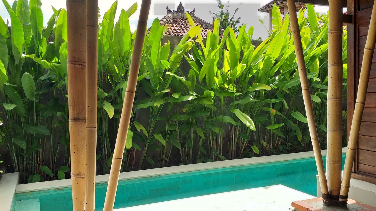 Photo of Patio Balcony in Penatih