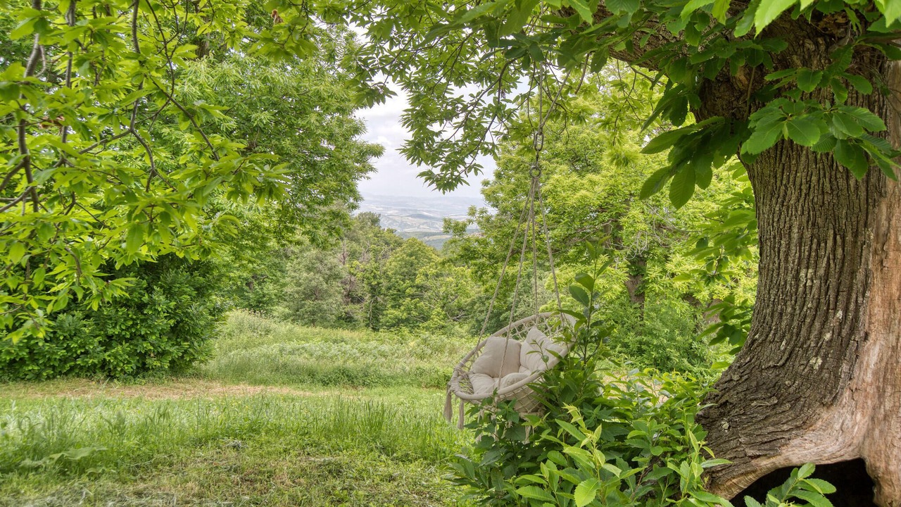 Photo of Others in Arcidosso