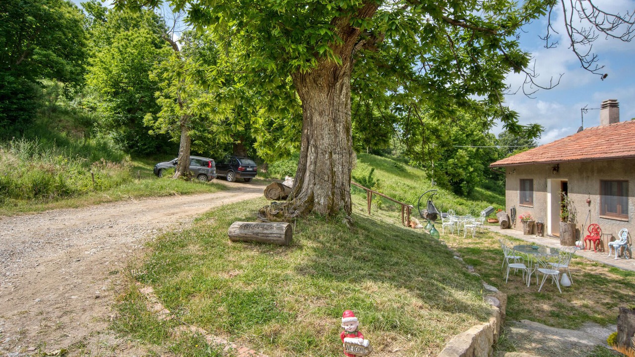 Photo of Others in Arcidosso