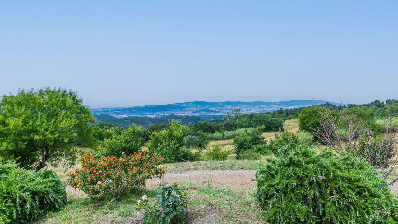 Photo of Others in Castellina Marittima