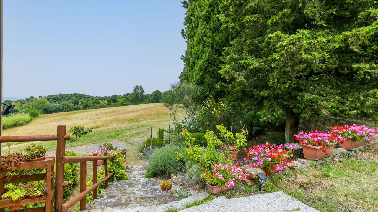 Photo of Others in Castellina Marittima