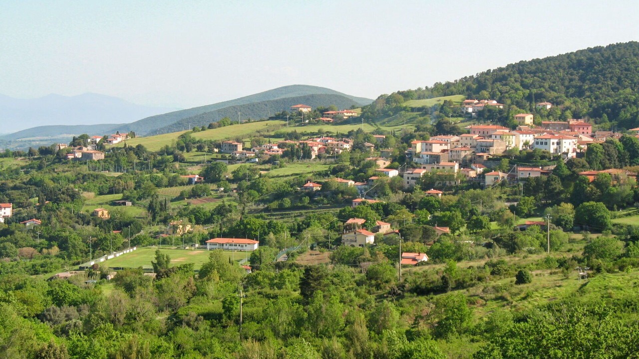 Photo of Others in Castellina Marittima