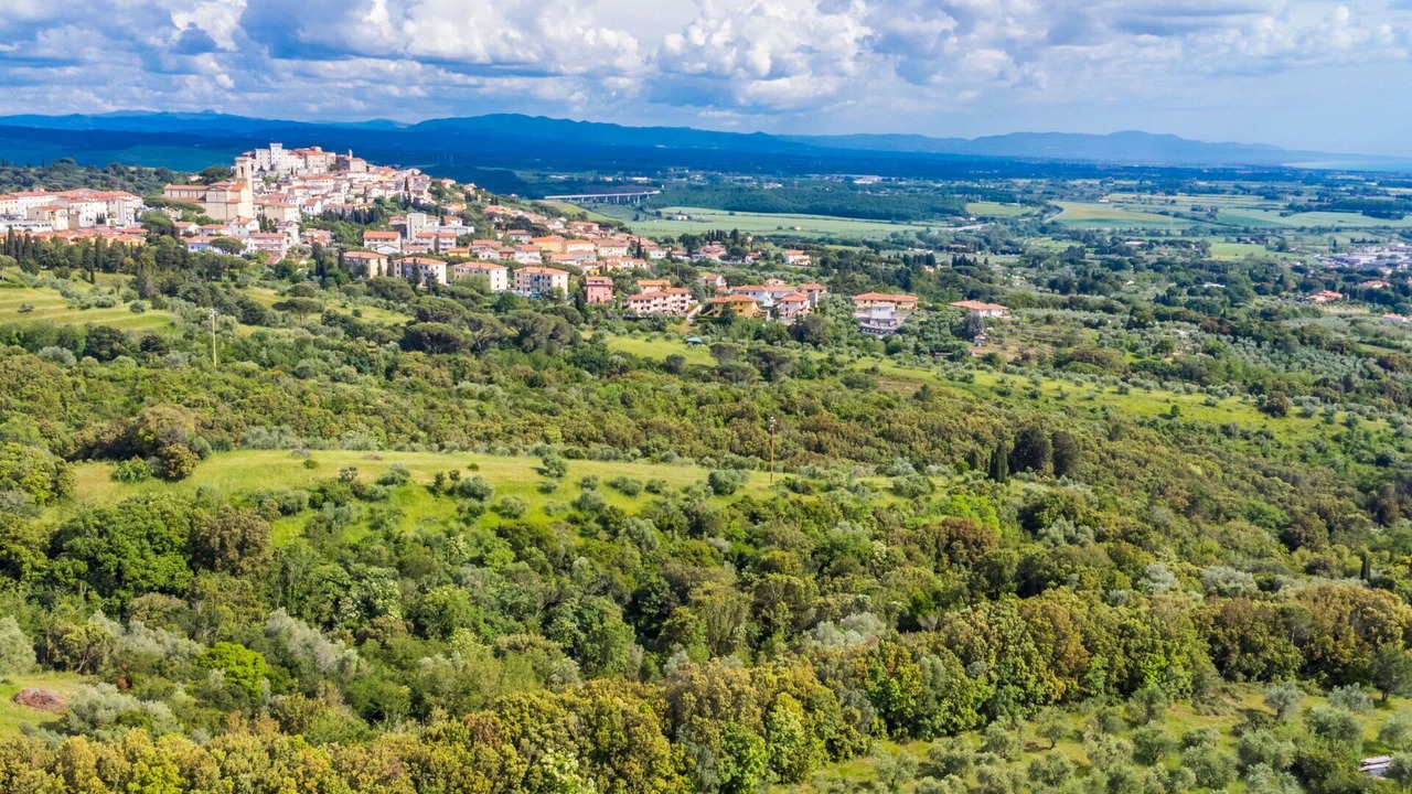 Photo of Others in Rosignano Marittimo